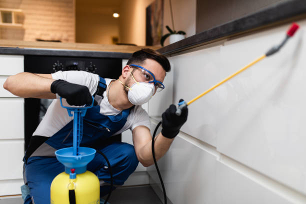Best Cockroach Control Services  in Cochranton, PA