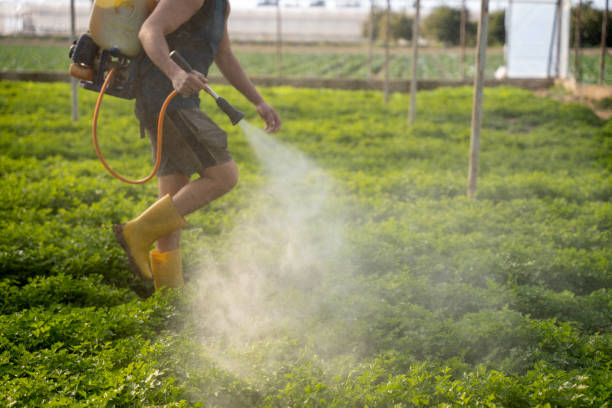 Wasp Removal Services in Cochranton, PA