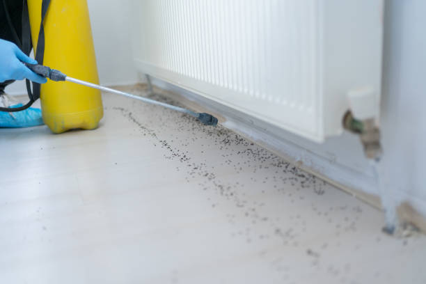 Best Residential Pest Control  in Cochranton, PA