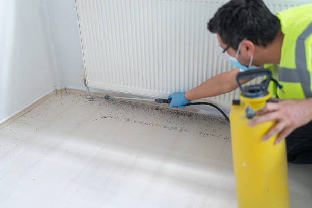 Best Pest Prevention Services  in Cochranton, PA