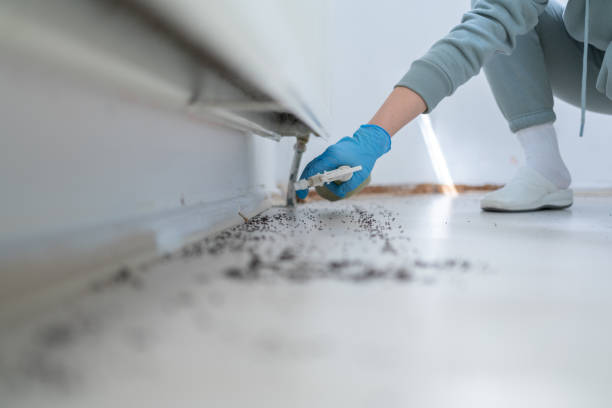 Best Mosquito Control Services  in Cochranton, PA