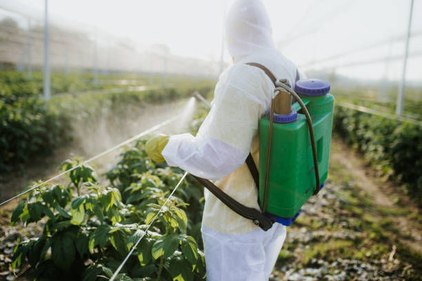 Best Best Pest Control Companies  in Cochranton, PA